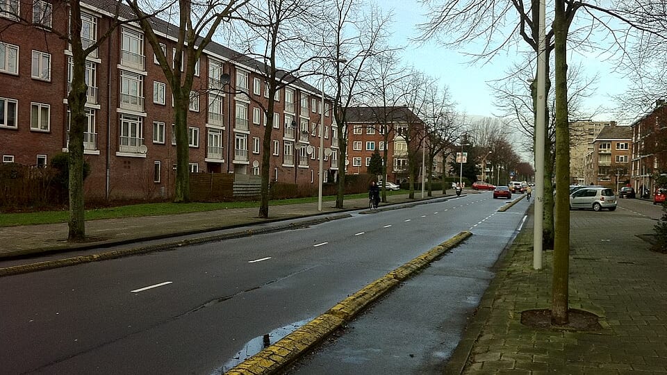 Werengouw-Midden