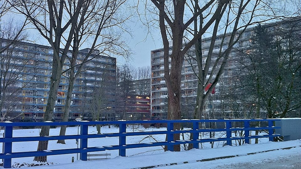 Molenwijk