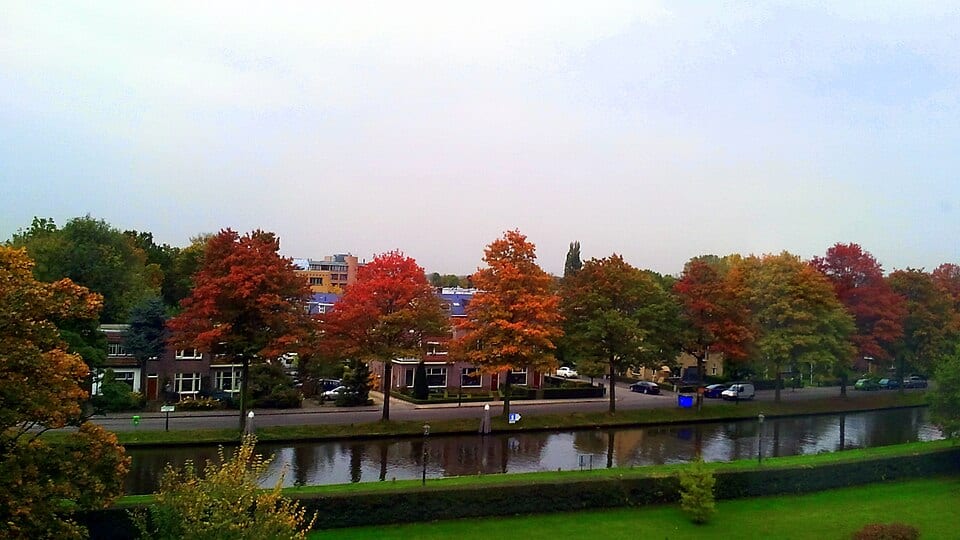 Hogewey-Zuid