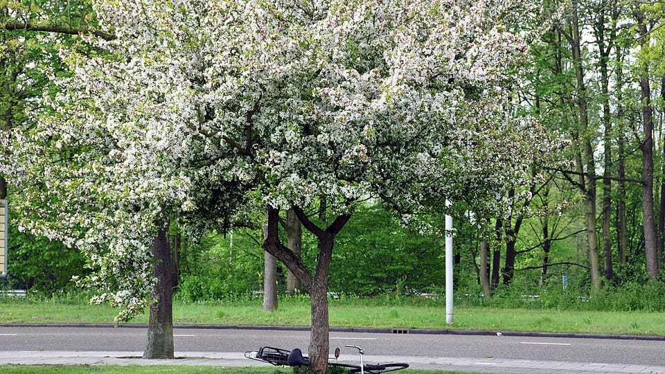 Amstelkwartier-West
