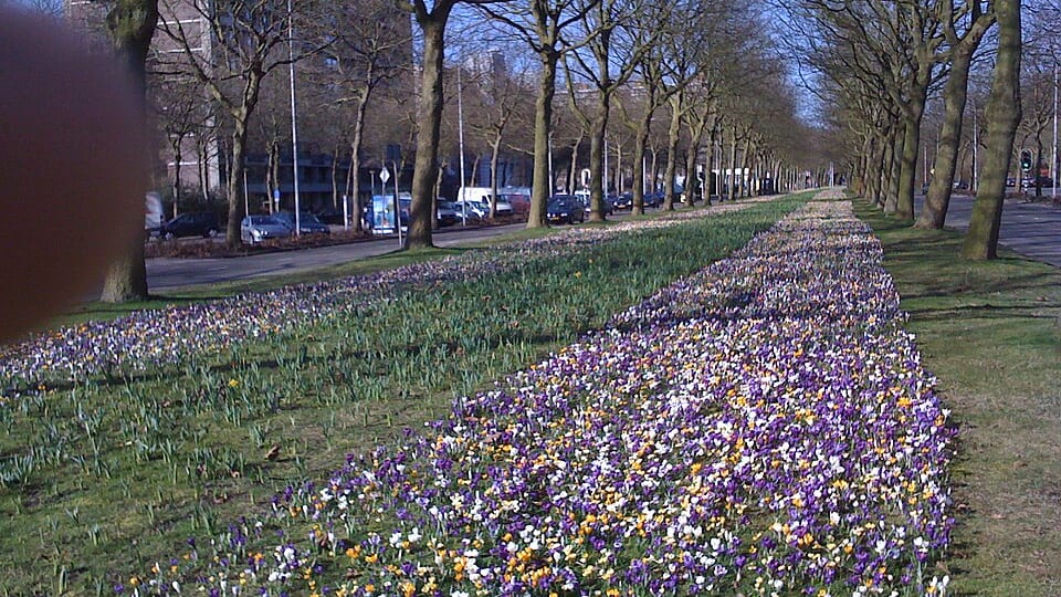 Buitenveldert-Zuidoost