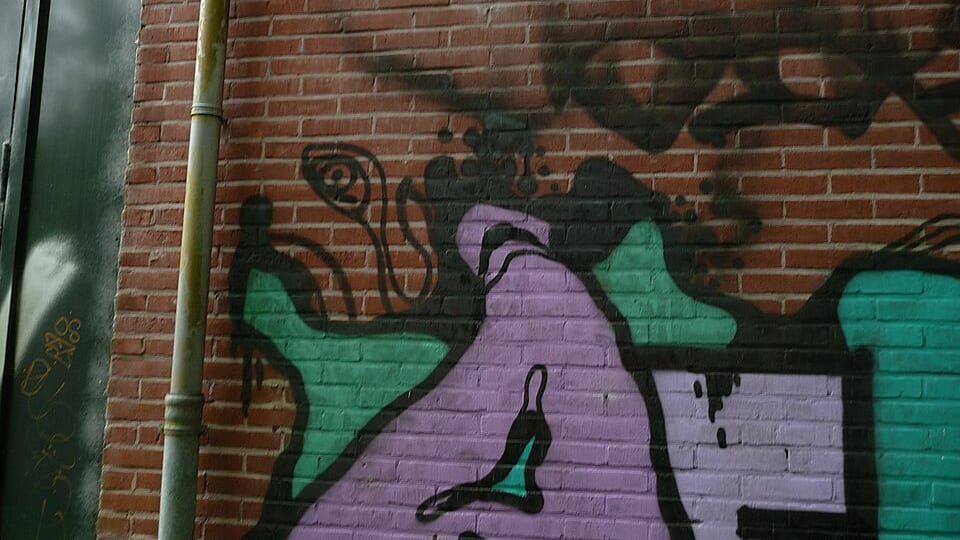 P.C. Hooftbuurt
