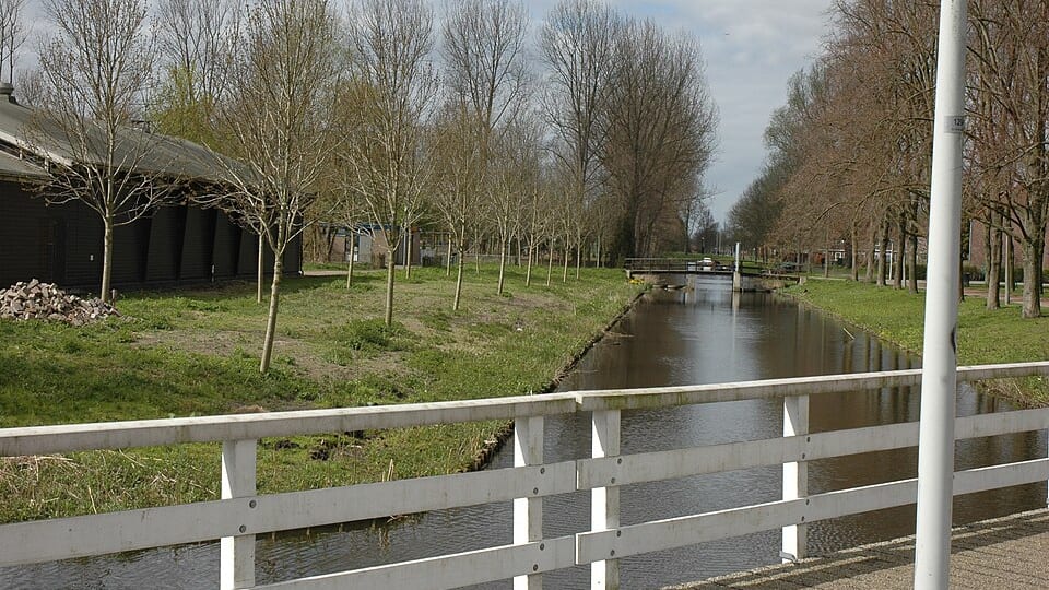 Wegener Sleeswijkbuurt