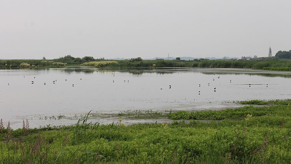 Durgerdam