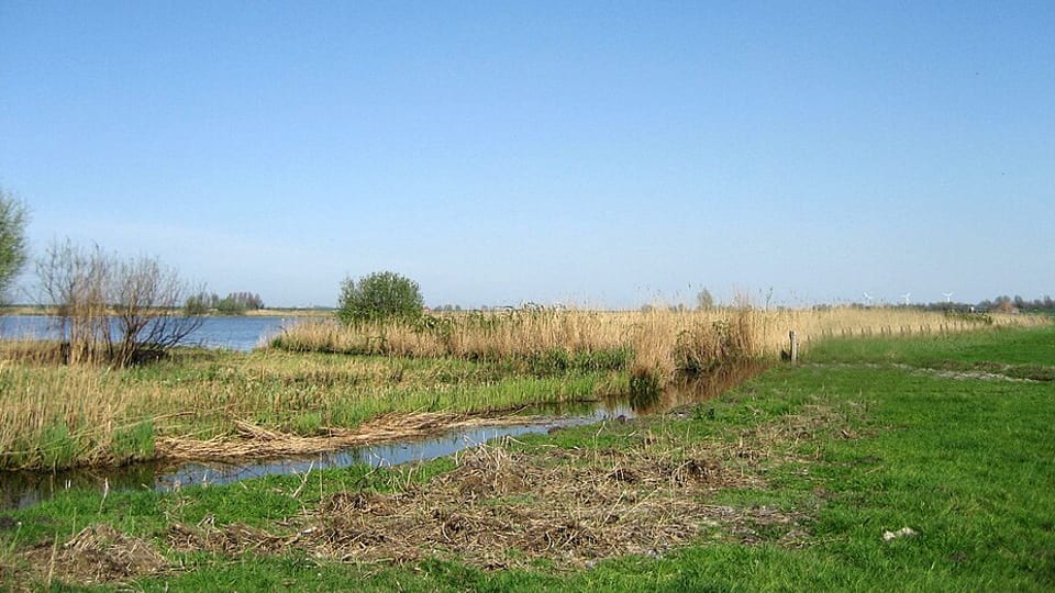 Holysloot