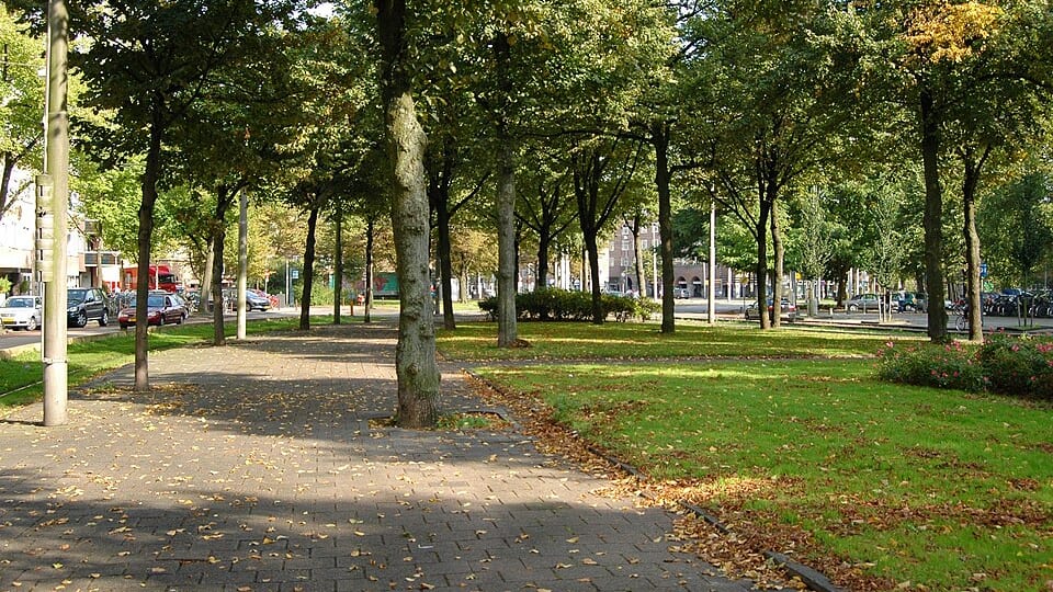 Wielingenbuurt