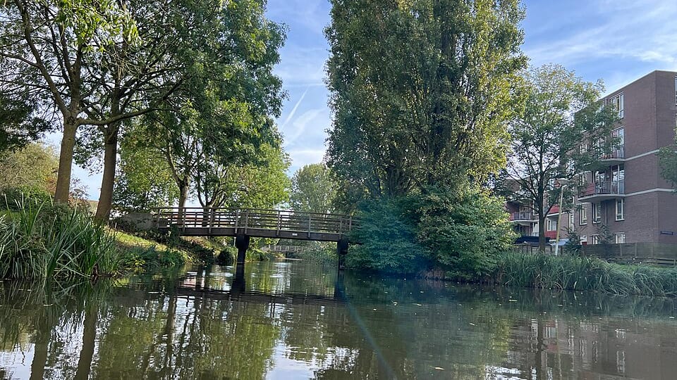Reigersbos 1