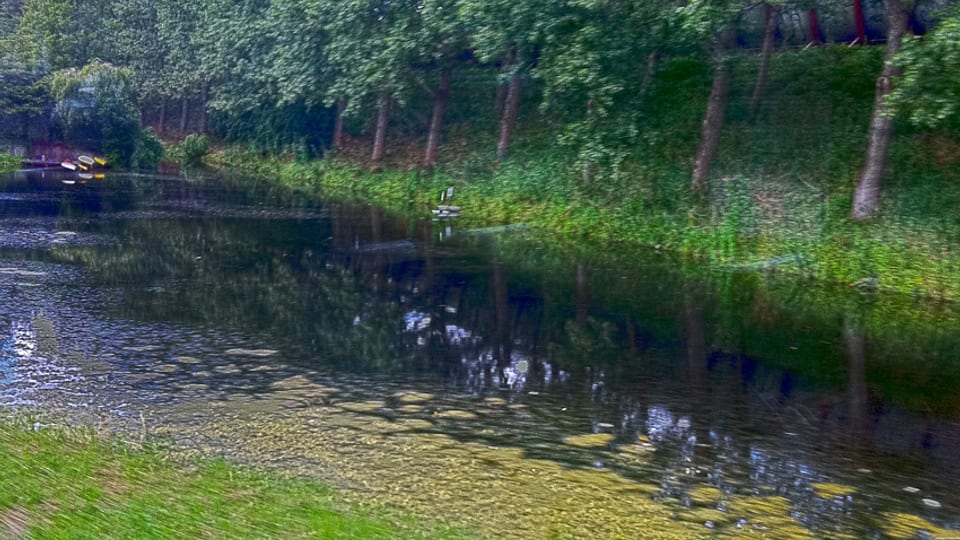 Twiske-Oost